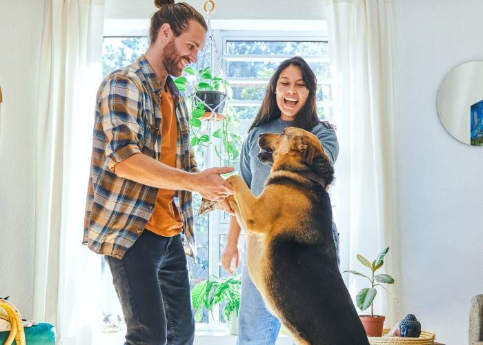 Pets and mental health: The mood-boosting benefits of pets Pets And Mental Health: 7 Ways Pets Can Benefit You Mentally